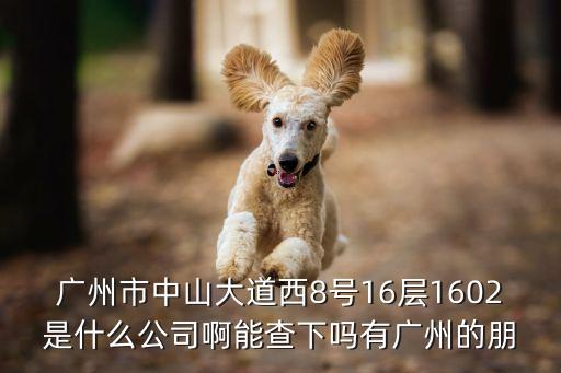 廣州市中山大道西8號16層1602是什么公司啊能查下嗎有廣州的朋