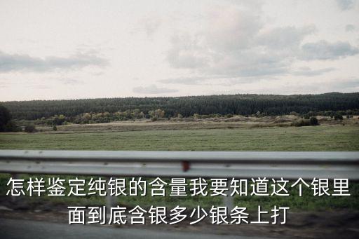 廣州的銀條是純銀999的嗎，怎樣鑒定純銀的含量我要知道這個銀里面到底含銀多少銀條上打