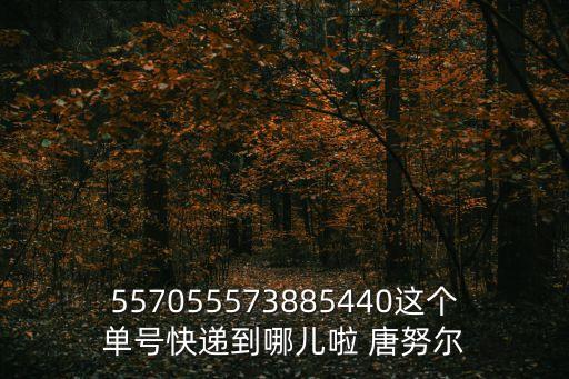 2021年廣州世界高端米業大會，557055573885440這個單號快遞到哪兒啦 唐努爾