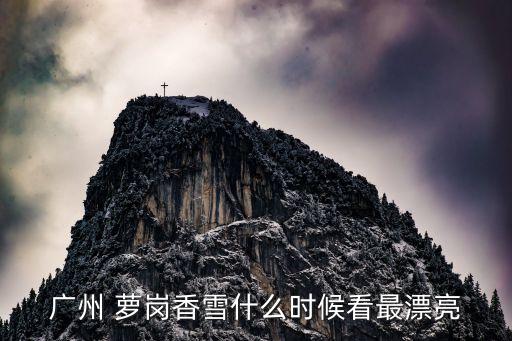 廣州 蘿崗香雪什么時候看最漂亮