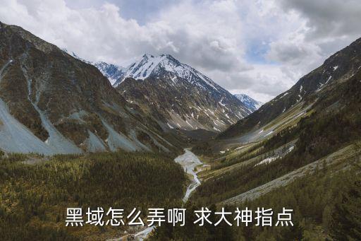黑域app，努比亞z11最新開發(fā)版怎么使用黑域