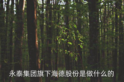 永泰集團(tuán)旗下海德股份是做什么的