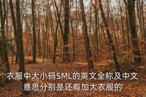 衣服中大小碼SML的英文全稱及中文意思分別是還有加大衣服的