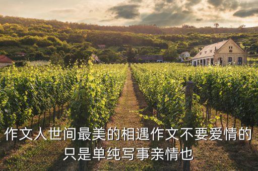 作文人世間最美的相遇作文不要愛情的只是單純寫事親情也