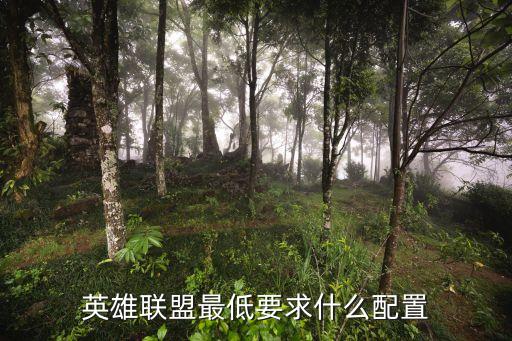英雄聯(lián)盟最低配置，LOL最低要什么樣的配置才能玩 簡單說下
