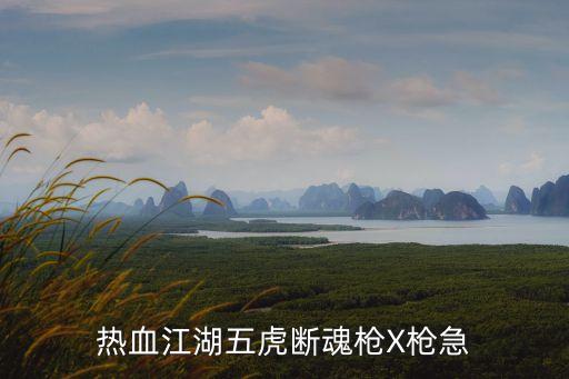 五虎斷魂槍，熱血江湖X12槍叫什么