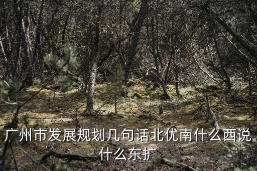 廣州市發(fā)展規(guī)劃幾句話北優(yōu)南什么西說什么東擴(kuò)