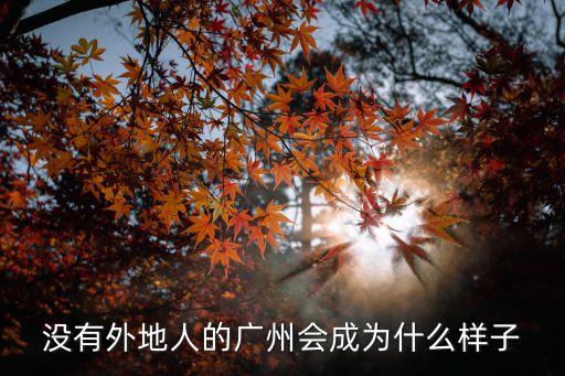 沒有外地人可以去廣州嗎，我能去廣州么