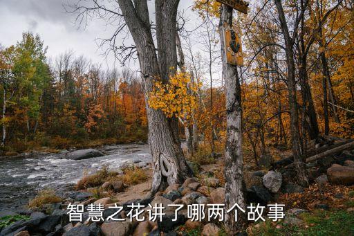 智慧之花，智慧之花的主要內(nèi)容