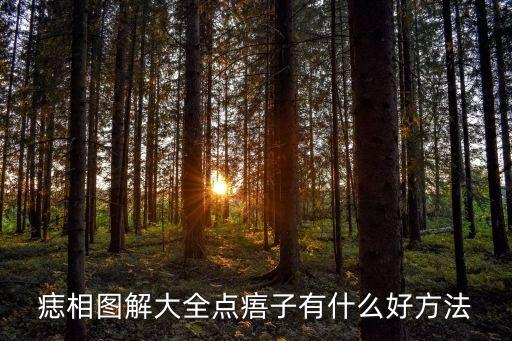 臉上痣的圖解，男人面部痣相圖解怎么對照自已的左右圖中標注33是自已的左還是