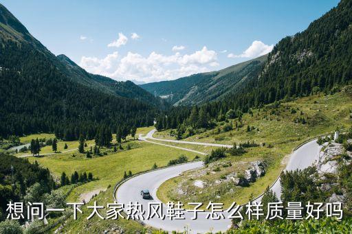 廣州熱風(fēng)鞋子質(zhì)量如何，熱風(fēng)這個(gè)牌子怎么樣啊看上了雙鞋不知道質(zhì)量