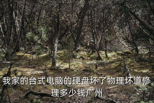 我家的臺式電腦的硬盤壞了物理壞道修理多少錢廣州