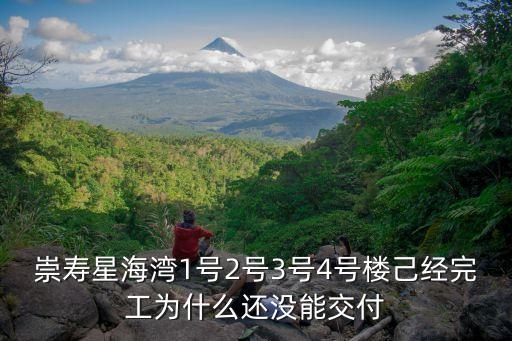 崇壽星海灣1號2號3號4號樓己經完工為什么還沒能交付