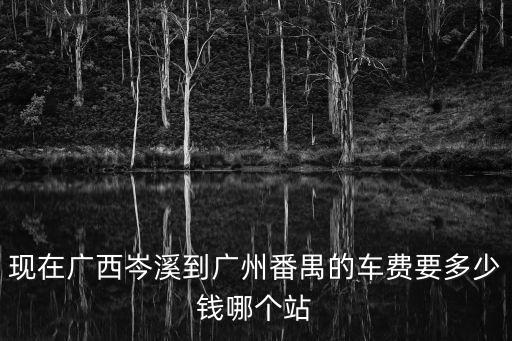 現在廣西岑溪到廣州番禺的車費要多少錢哪個站