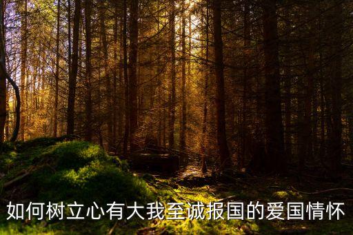愛國情懷，寫出體現愛國情懷的事例和名言