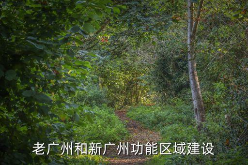 廣州市2021至2035年規劃，老廣州和新廣州功能區域建設