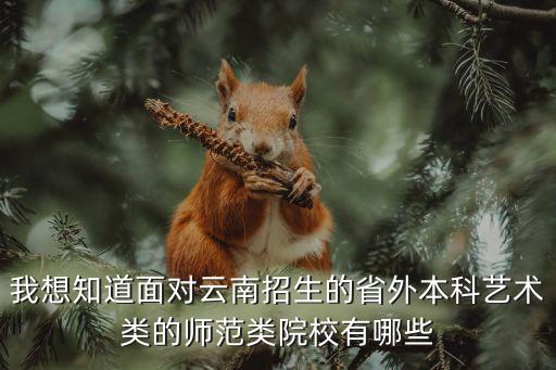 我想知道面對云南招生的省外本科藝術類的師范類院校有哪些