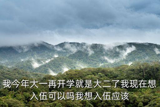 大學生征兵，大學去當兵如何