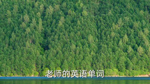 老師單詞，老師的單詞