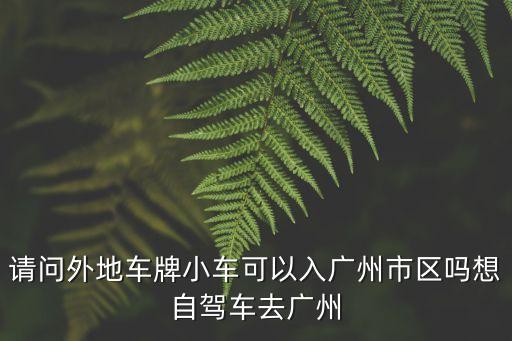 請問外地車牌小車可以入廣州市區嗎想自駕車去廣州