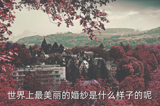 世界上最美麗的婚紗是什么樣子的呢