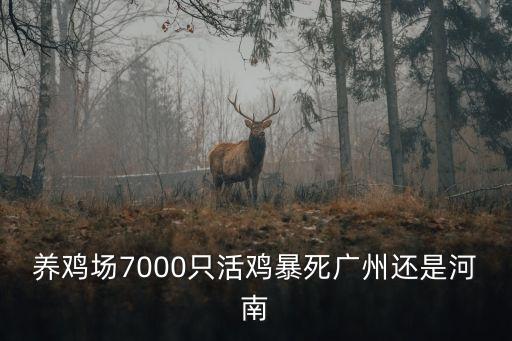 養雞場7000只活雞暴死廣州還是河南
