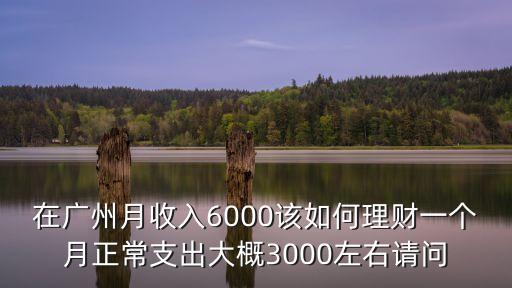 在廣州月收入6000該如何理財一個月正常支出大概3000左右請問