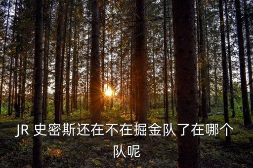 JR 史密斯還在不在掘金隊了在哪個隊呢
