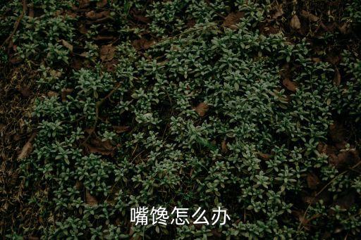嘴饞，嘴饞怎么辦