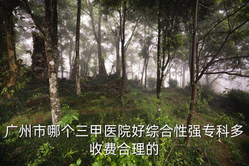 廣州三甲醫院特色排名，廣州最好三甲醫院到底是哪家呢求大家幫幫我