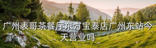 廣州表哥茶餐廳東方寶泰店廣州東站今天營業(yè)嗎