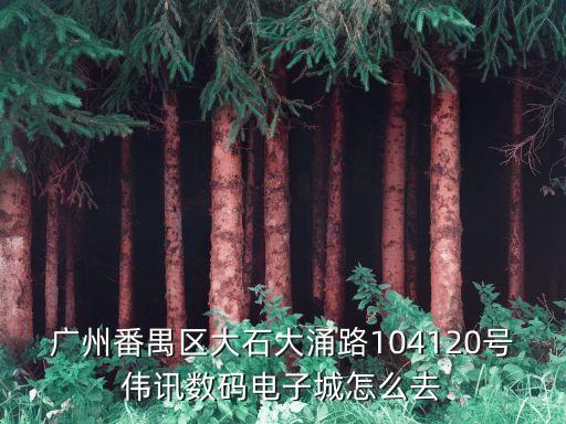 廣州番禺區大石大涌路104120號偉訊數碼電子城怎么去