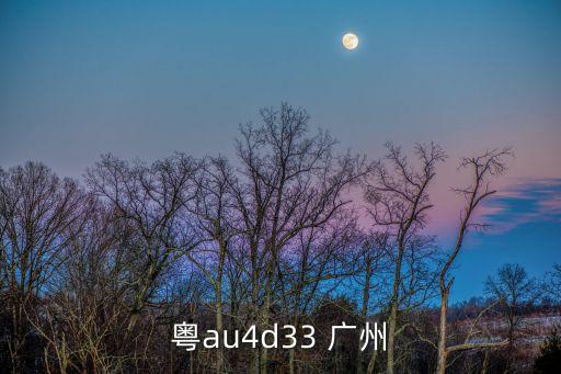 地鐵區(qū)莊站屬于廣州哪個(gè)區(qū)，粵au4d33 廣州