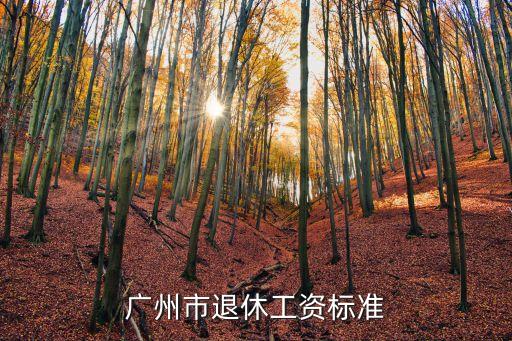 廣州市今年退休養老金多少，廣州市退休工資標準