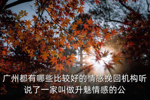 廣州都有哪些比較好的情感挽回機構聽說了一家叫做升魅情感的公