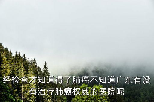 經檢查才知道得了肺癌不知道廣東有沒有治療肺癌權威的醫院呢