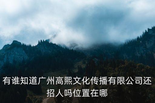 廣州市艾可盛企業，廣州市越秀區環市中路207號恒生大夏C座付樓是什么公司