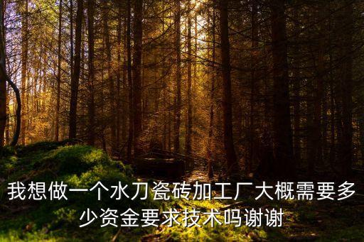 我想做一個水刀瓷磚加工廠大概需要多少資金要求技術嗎謝謝