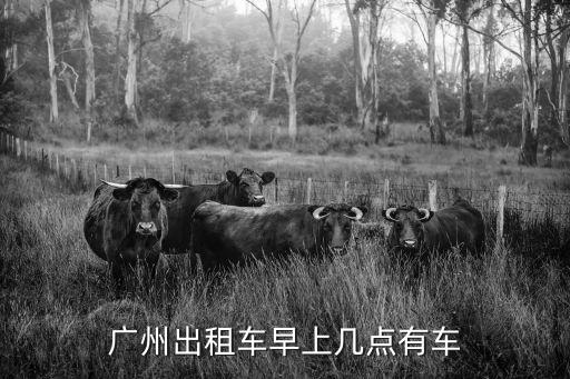 廣州出租車早上幾點(diǎn)發(fā)車，廣州的出租車早上幾點(diǎn)開(kāi)始上班