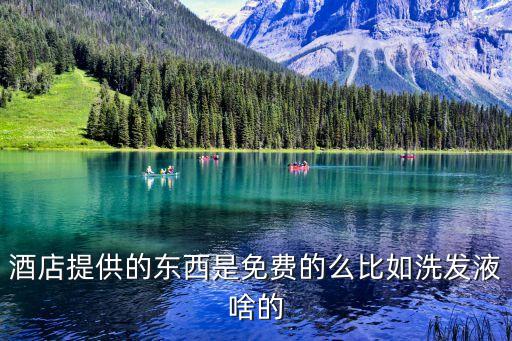 廣州四季酒店配的東西免費的嗎，酒店提供的東西是免費的么比如洗發液啥的