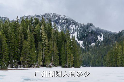 廣州市汕頭市潮陽區和平鎮哪個村姓莊，請問汕頭潮陽姓莊的多嗎
