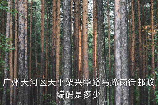 廣州天河區天平架興華路馬蹄崗街郵政編碼是多少