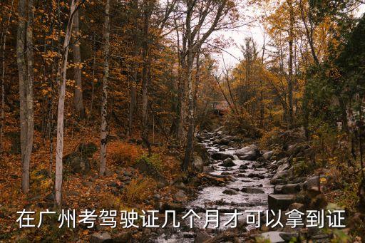 廣州考駕駛證多久能拿到證，在廣州考駕駛證幾個月才可以拿到證