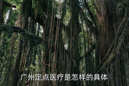 廣州粵省市定點，廣州市一二三級定點醫療機構有那些