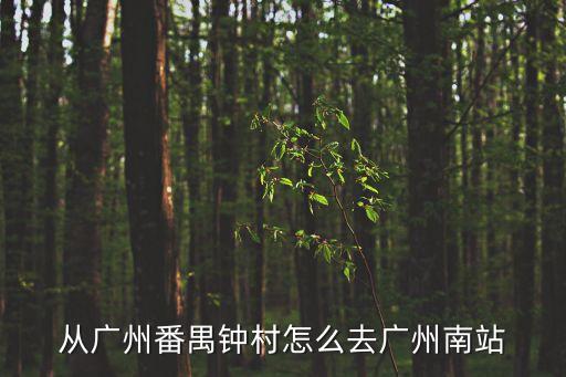 番禺鐘村萬寶怎么去廣州南站，番禺鐘村做什么車去廣州南站