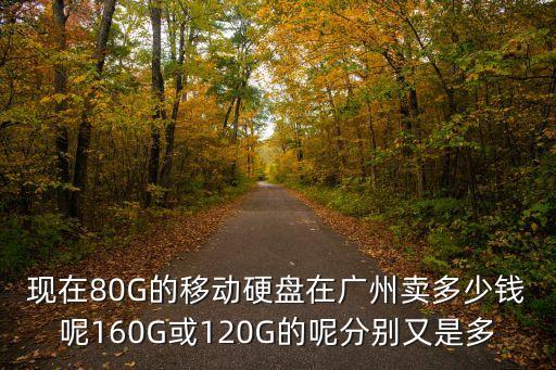 廣州移動硬盤價格表，廣州移動硬盤160G和80G價格