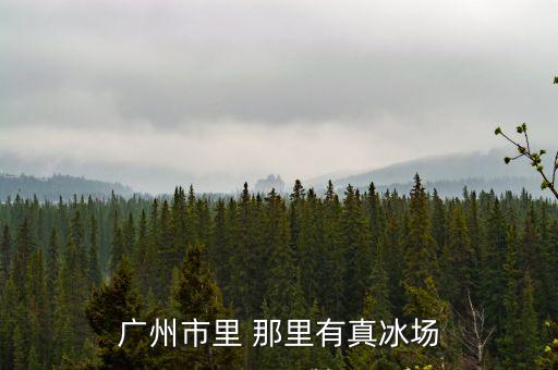 廣州市里 那里有真冰場
