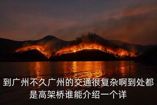 廣州哪個區(qū)高架橋比較多，在中國哪個地方高架橋最多