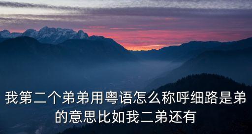 我第二個(gè)弟弟用粵語怎么稱呼細(xì)路是弟的意思比如我二弟還有