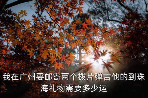 我在廣州要郵寄兩個撥片彈吉他的到珠海禮物需要多少運